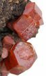 Red Vanadinite Crystals on Matrix - Morocco #38482-1